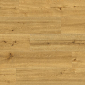 SPC Classen Ceramin Pro Nature Soledad